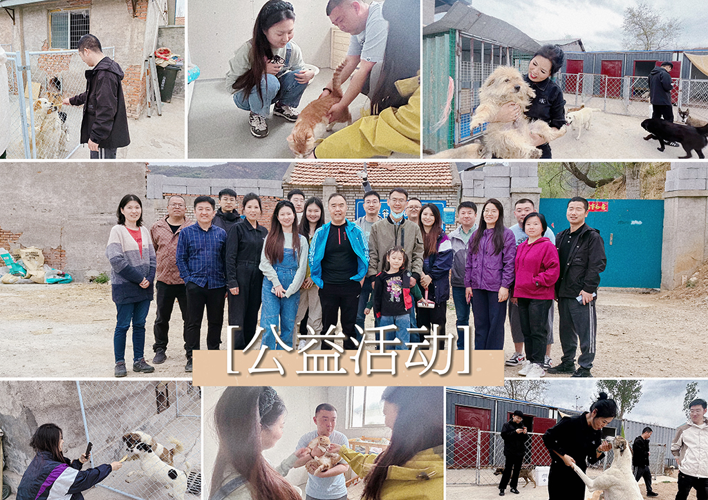北京盛典博覽公司展現(xiàn)企業(yè)社會(huì)責(zé)任，探訪流浪狗基地并舉辦爬山團(tuán)建